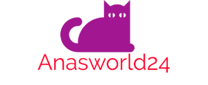 anasworld24